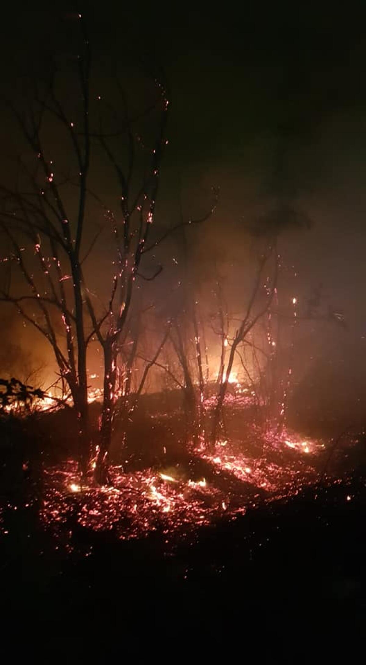 Notte di fuoco e terrore ai Castelli Romani: distrutto il Monte Tuscolo - 