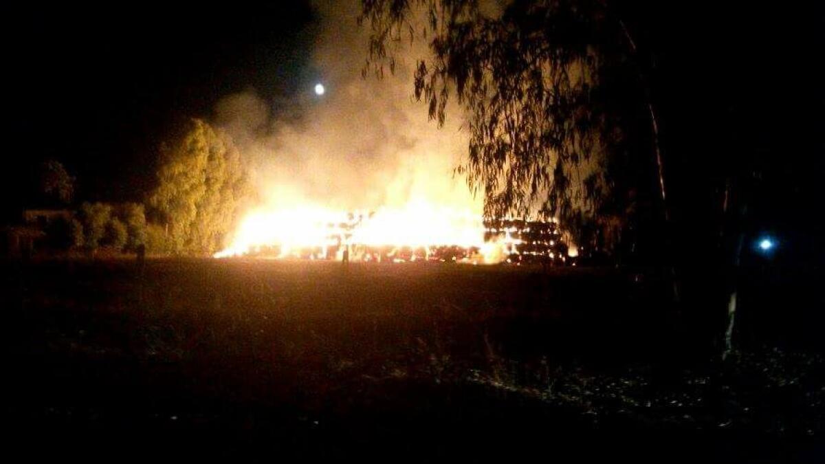 Piromani in azione ai Castelli Romani, a fuoco il Monte Artemisio - 