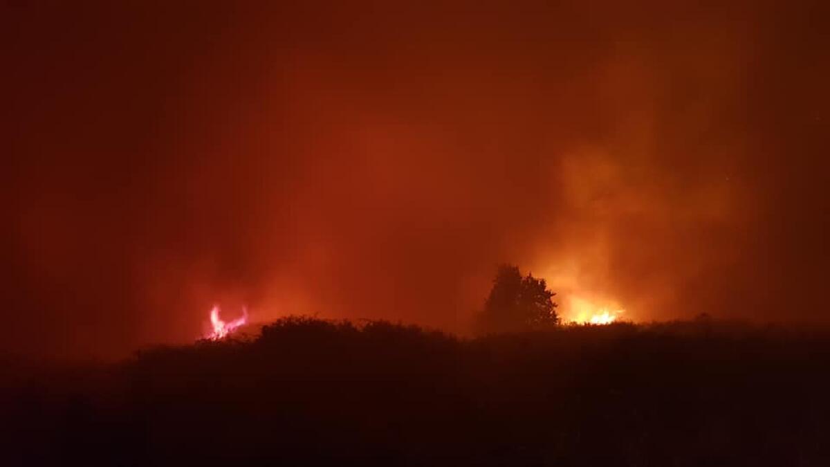 Ennesimo incendio sul Monte Artemisio a Velletri, le fiamme arrivano fino all'ospedale San Raffaele - 