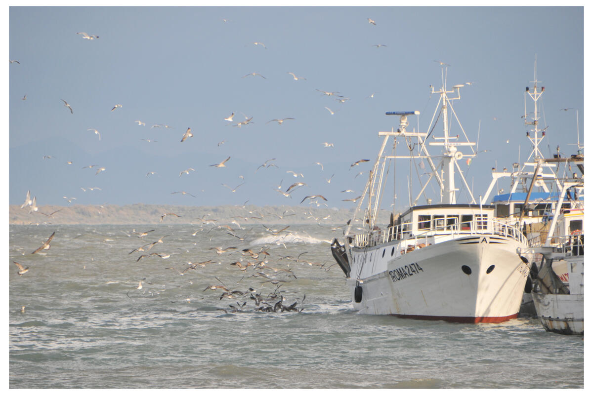 Anzio, Salvato il peschereccio Stella Madre che rischiava di affondare - 