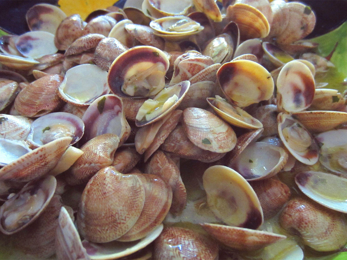 Latina, sequestrati 25 chili di vongole non adatte al consumo - 