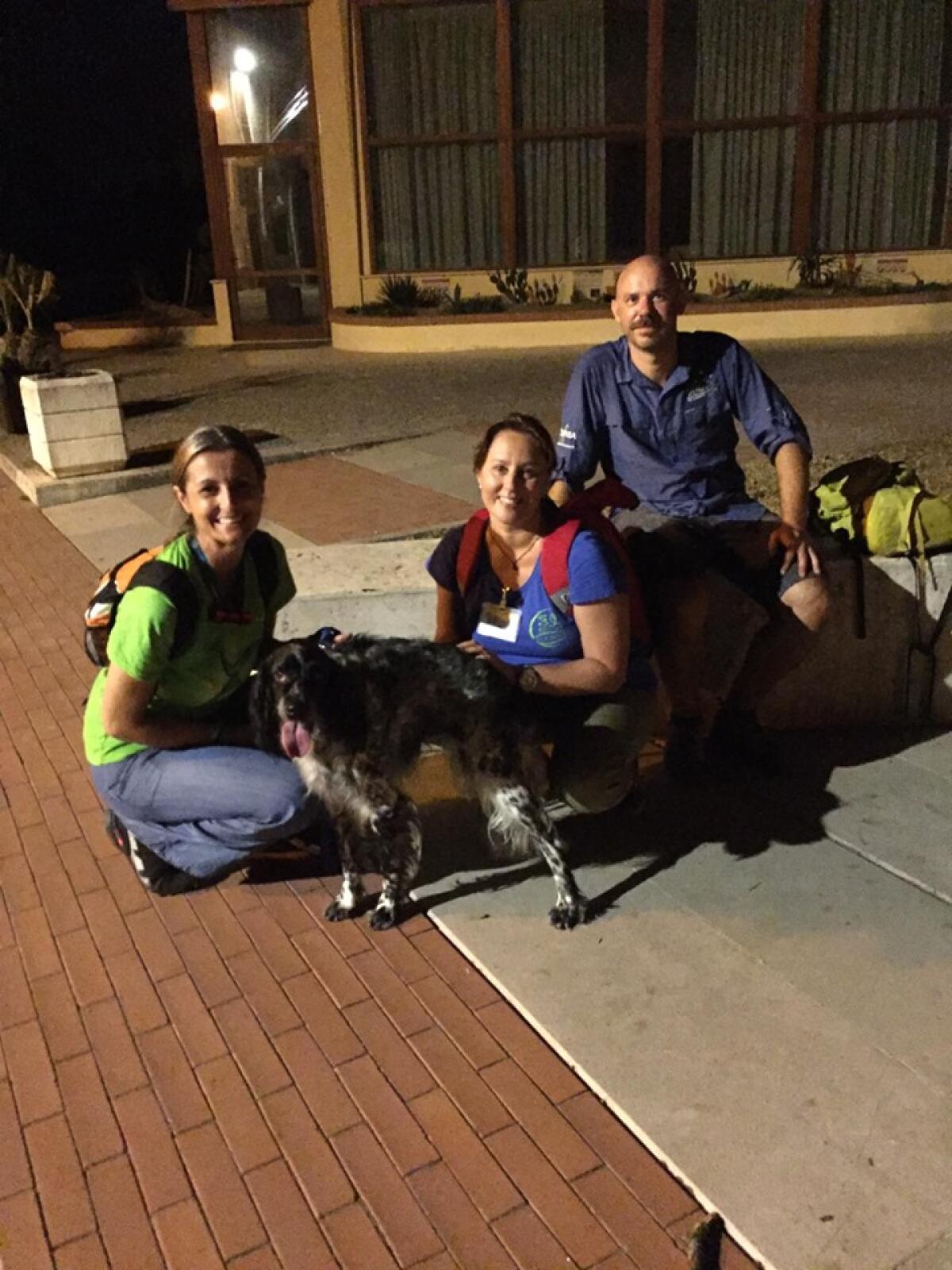 Elicriso nel Parco Nazionale del Circeo: domenica 29 settembre passeggiata notturna - 