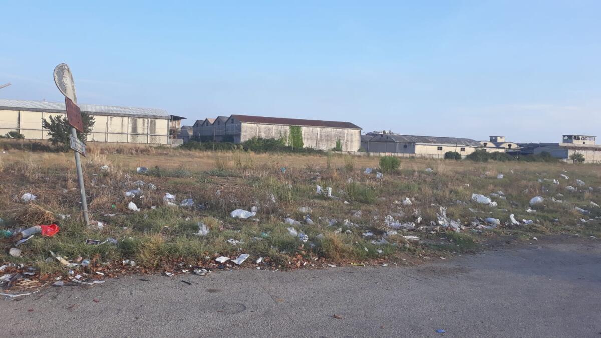 Aprilia - Aree verdi invase dai rifiuti dopo il mercato, "Il Comune provveda" - 