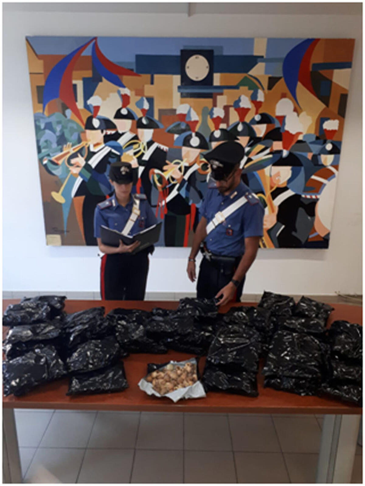 Fermato in Stazione ad Aprilia dai Carabinieri e trovato con 5 chili e mezzo di papaveri da oppio: indiano in manette. - 
