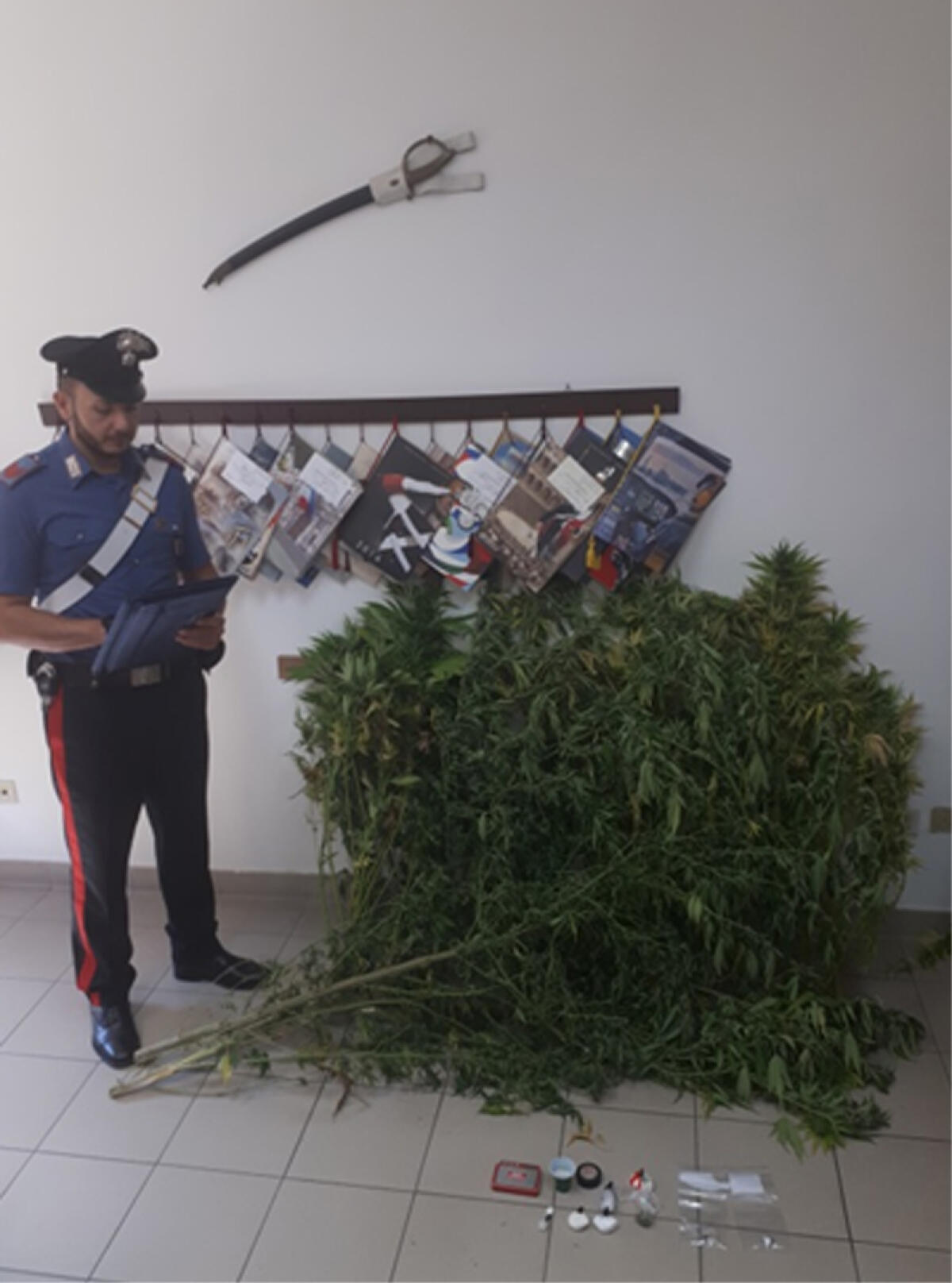 Aprilia - Coltivavano marijuana in casa, 3 arresti - 