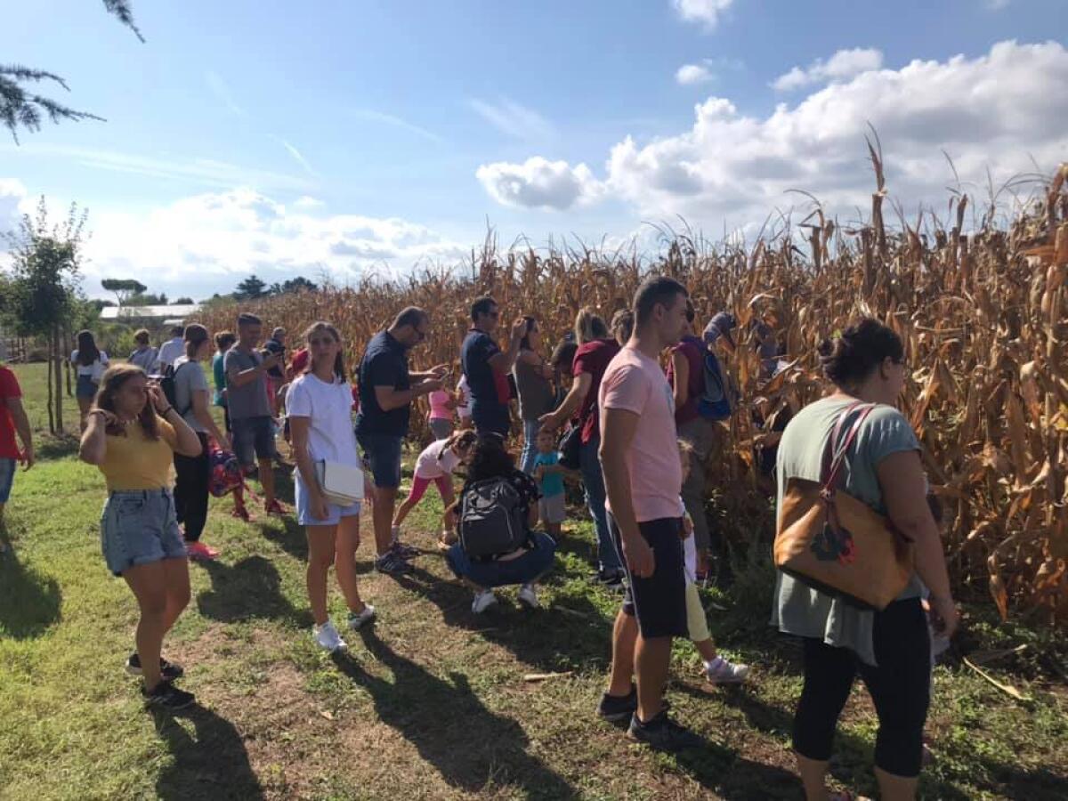 Fattorie Aperte ad Aprilia, la meraviglia di scoprire il territorio - 