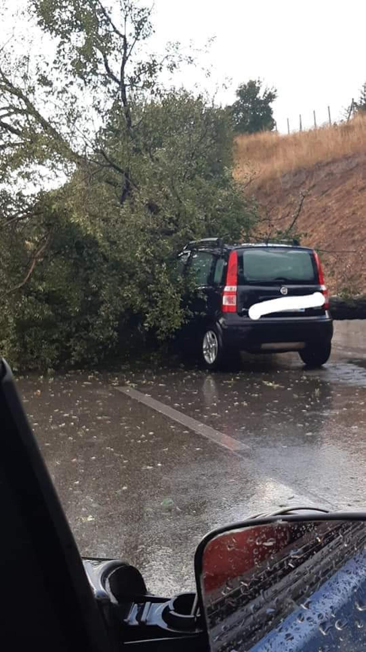 Maltempo, rami cadono sulla Pontina: traffico bloccato - 