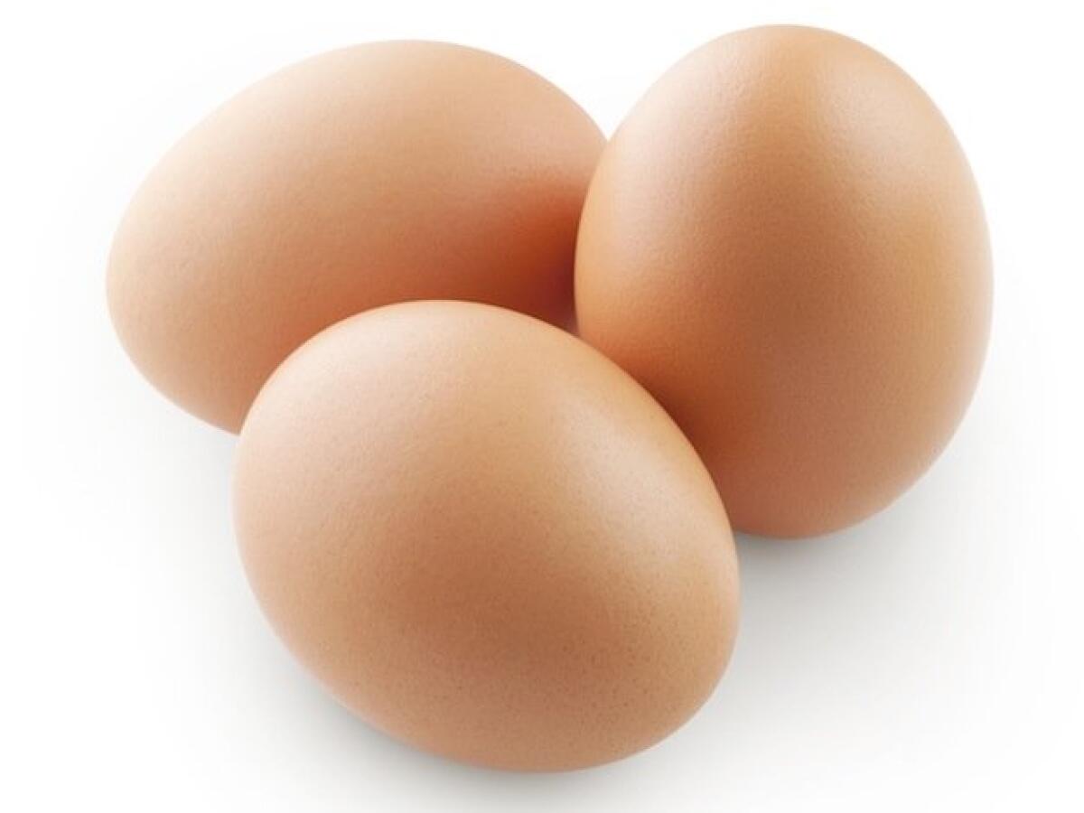 Sanzioni agli allevamenti di galline in provincia di Latina - 