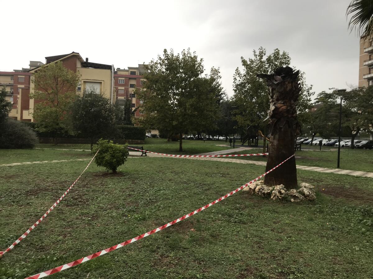 Accoltellato nel parco ad Aprilia, l'aggressore si presenta in caserma - 
