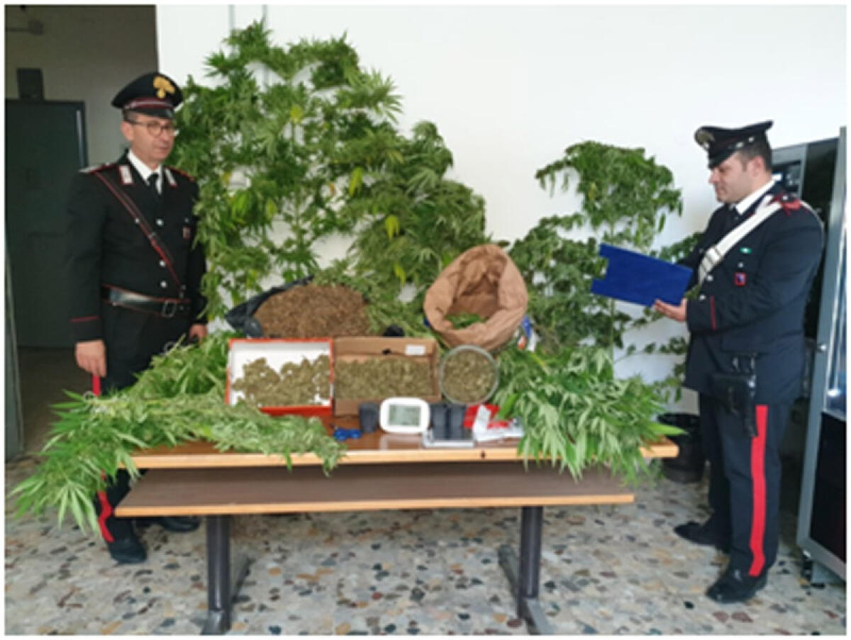 25 chili di marijuana in casa, in arresto 46enne - 