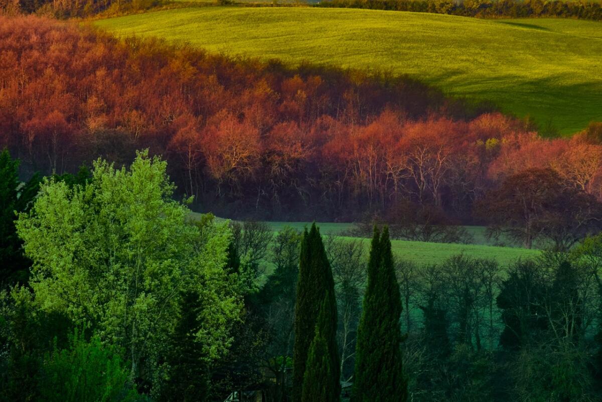 Mostra fotografica di fine corsi all’associazione “Factory 10” di Latina. - 