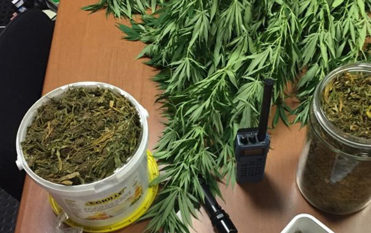 Sorpreso a cedere marijuana, un arresto a Sezze - 