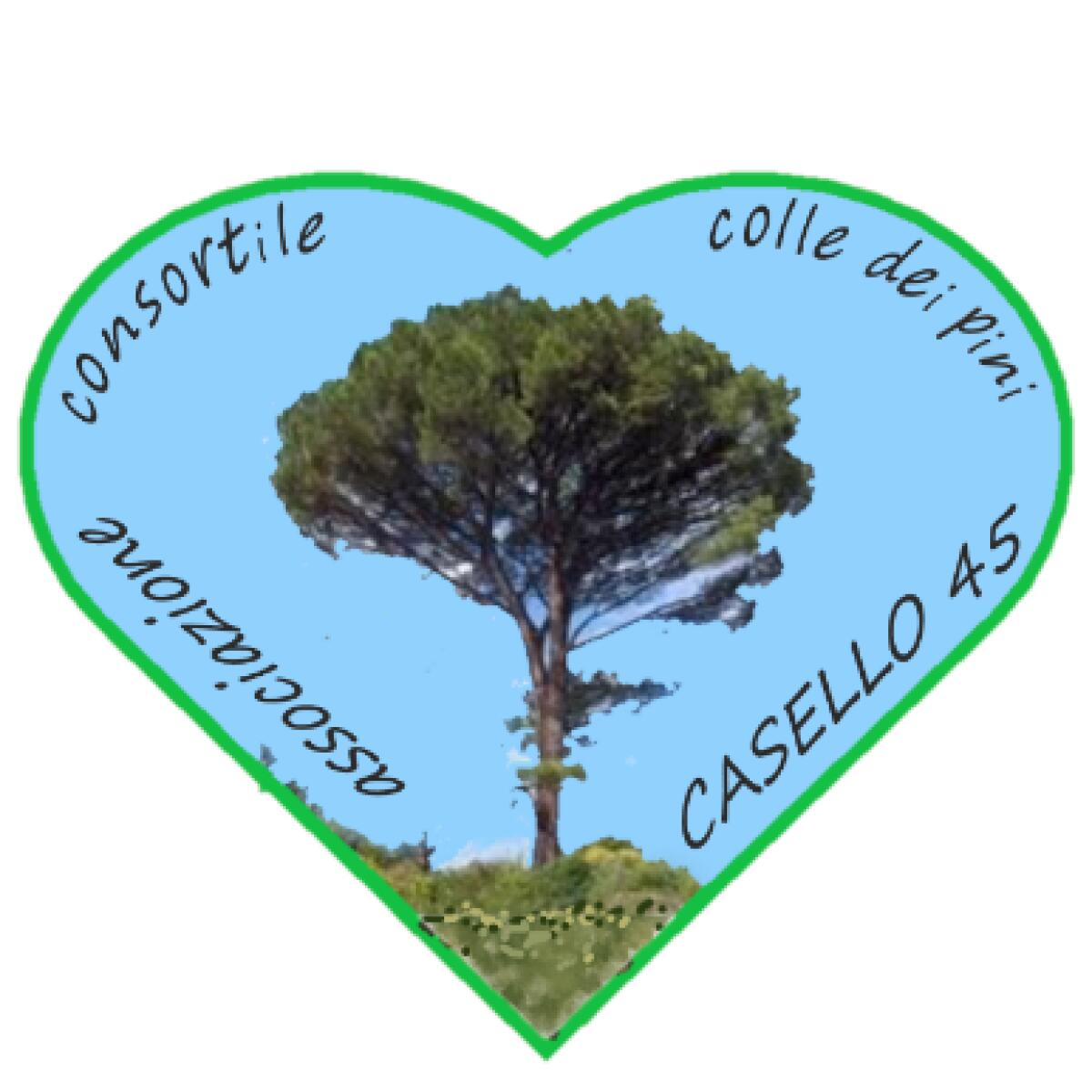 Aprilia - Nuovo direttivo per il Consorzio Casello 45, la presidente è Sonia Picozzi - 