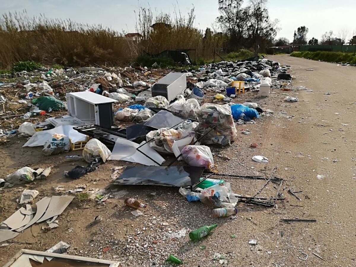 Lotta ai rifiuti abbandonati, cosa può fare il cittadino - 