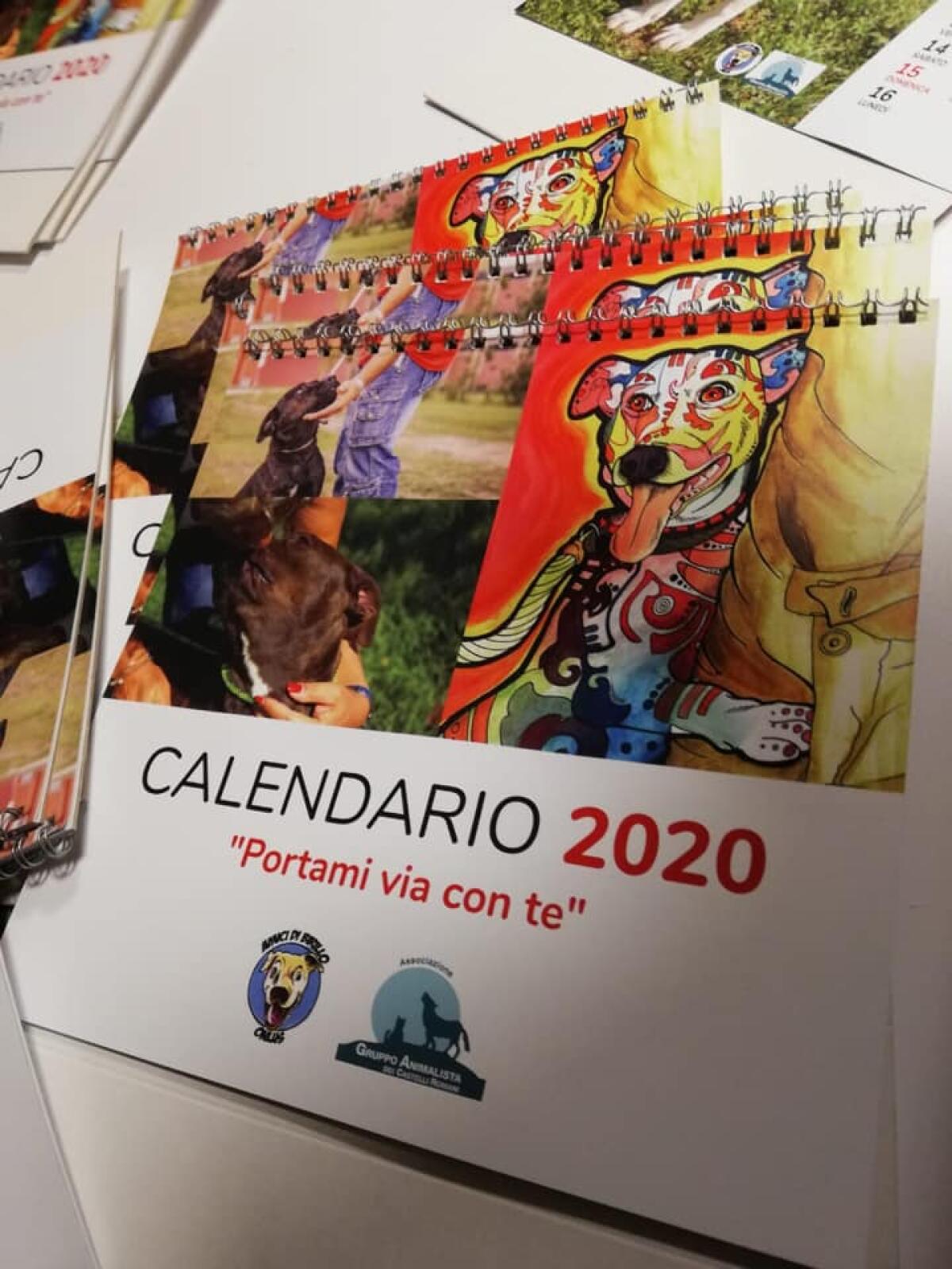 Aprilia, raccolta cibo per gli amici a 4 zampe insieme ad "Amici di Birillo" - 