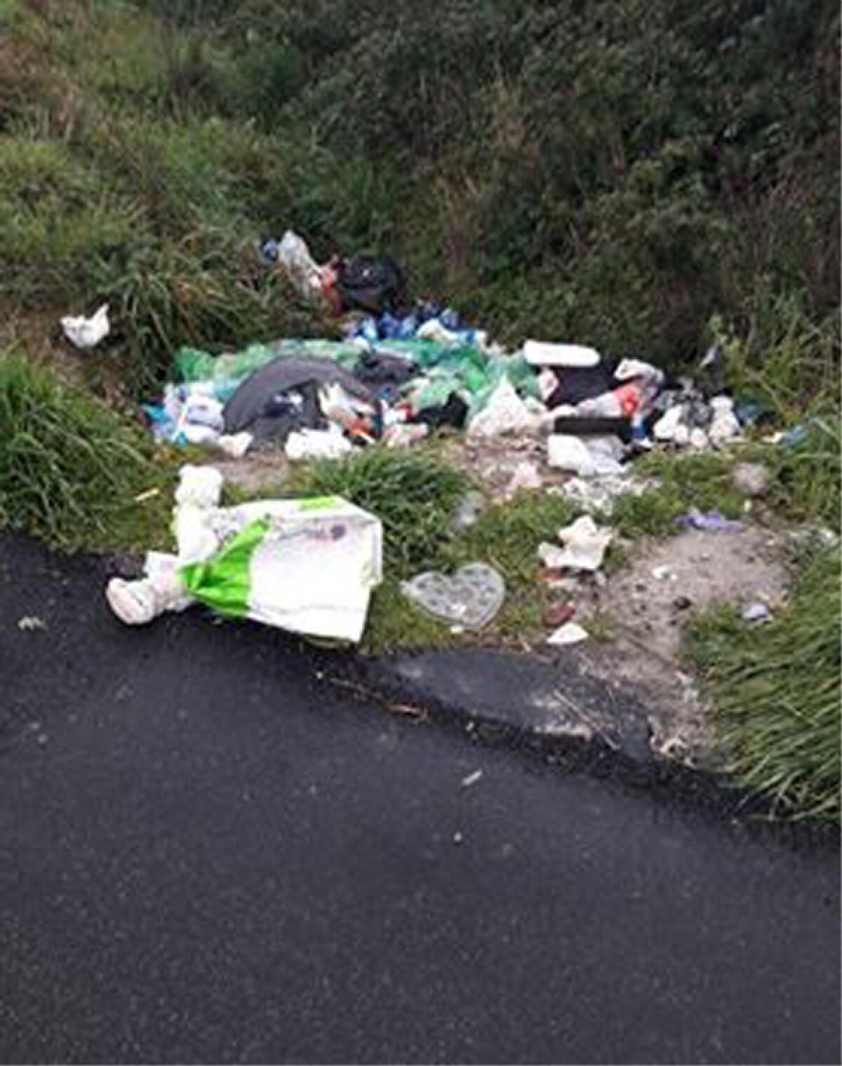 Abbandono di rifiuti, denunciato un 21enne del sud pontino - 