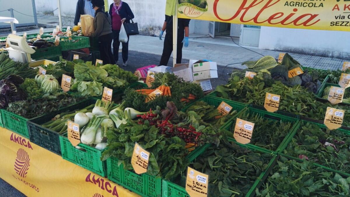 Aprilia, le attività virtuose si presentano in un incontro all'ex Claudia - 