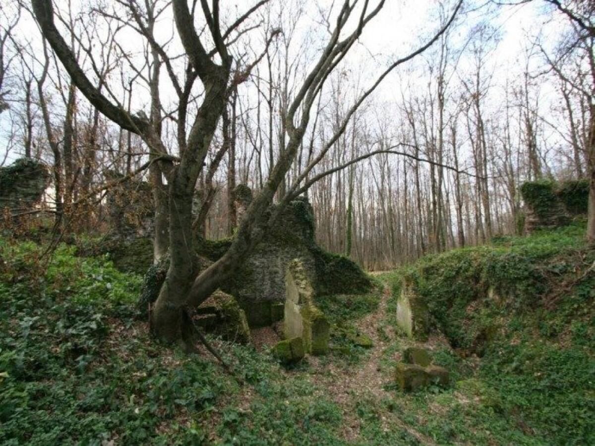 25 anni di scavi archeologici al Tuscolo: oggi cerimonia a Frascati. - 