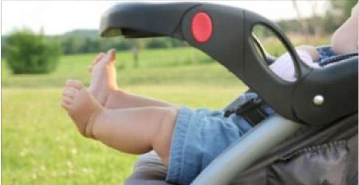 Latina - "I primi 1000 giorni di vita, base per la salute del bambino e dell'adulto" - 