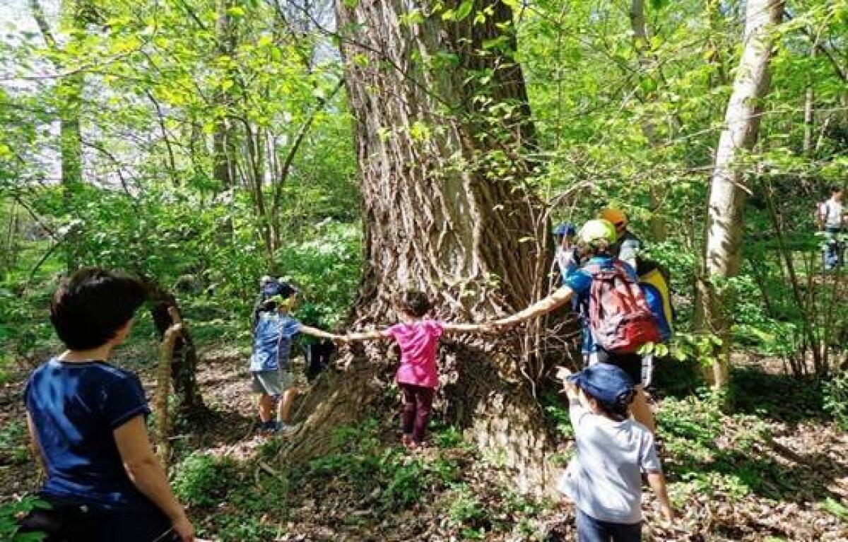 La Tenuta Calissoni Bulgari di Aprilia aderisce alla giornata nazionale degli alberi - 