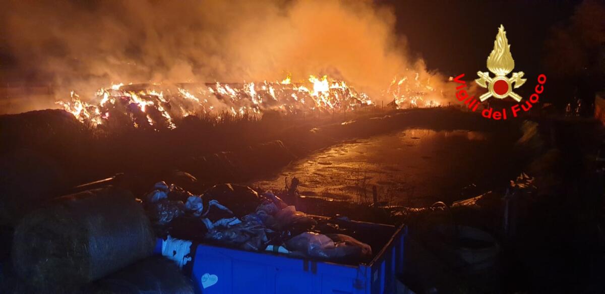 Un fulmine manda in fiamme un fienile in via del Querceto ad Aprilia: salvato un intero allevamento di suini. - 