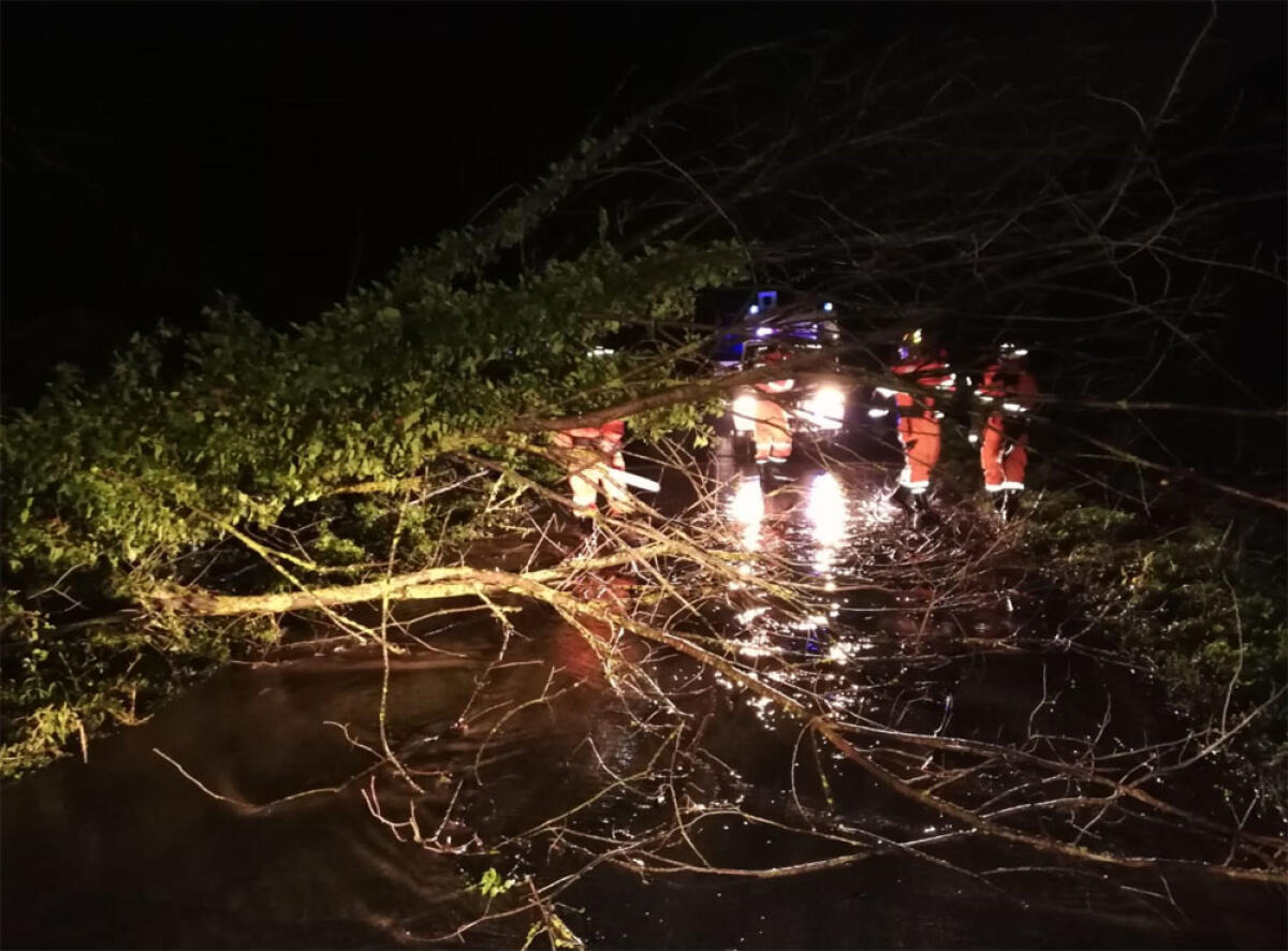 Calamità naturale, il Comune di Anzio ne fa richiesta alla Regione - 
