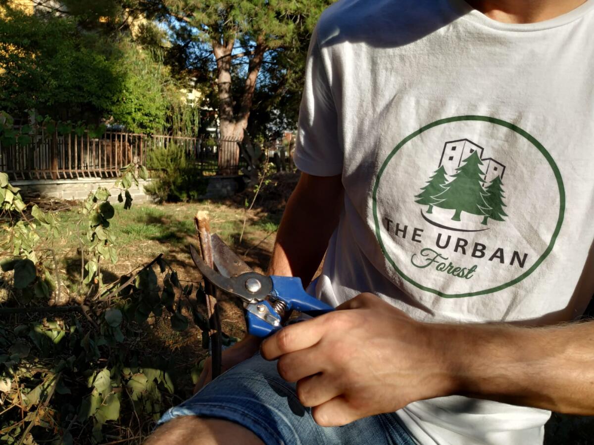 “Il Bosco Urbano” restituisce una fetta di spazio pubblico al Quartiere Agroverde di Aprilia. - 