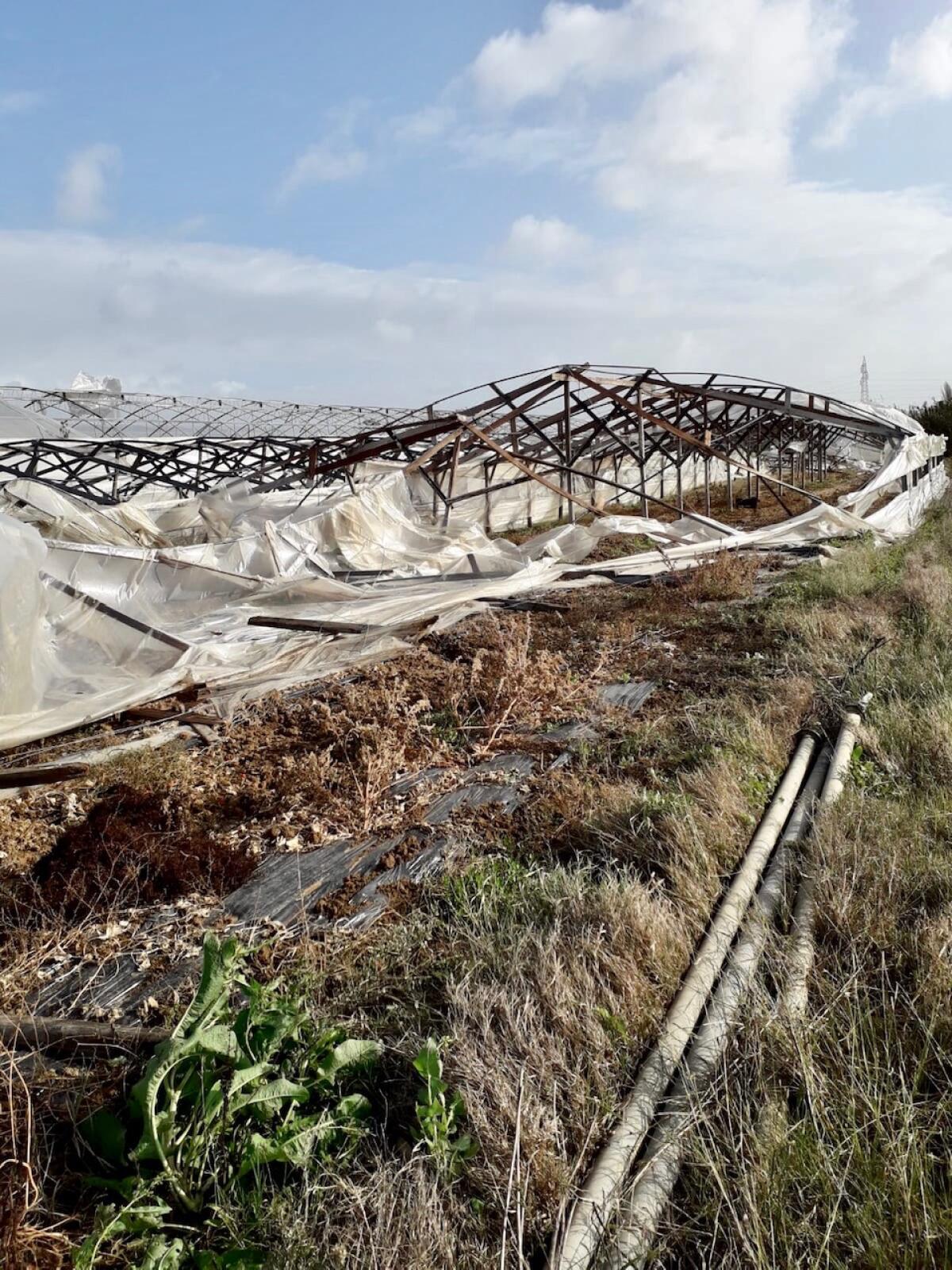 Maltempo, allarme di Coldiretti Latina: danni gravissimi per gli agricoltori - 