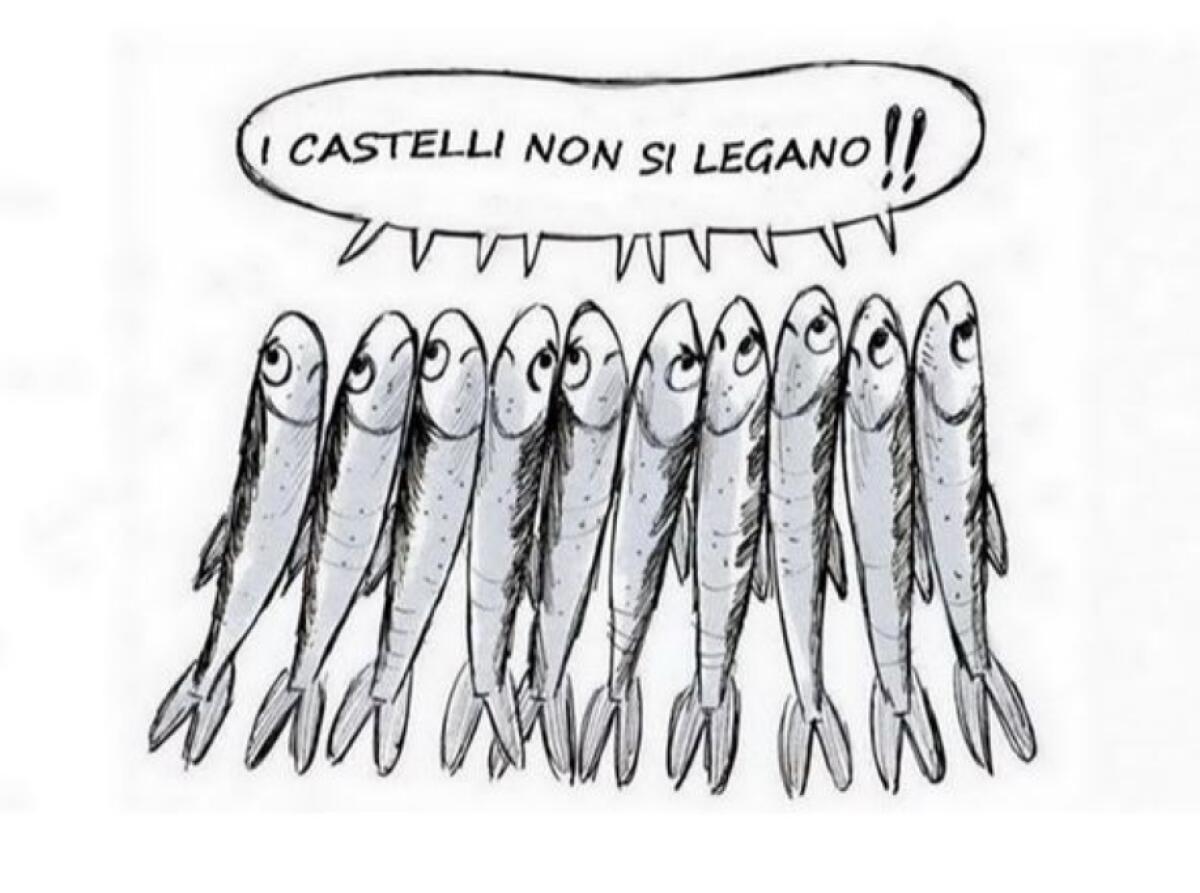 Nasce il gruppo "Sardine Castelli Romani", sarà alla manifestazione di Roma - 