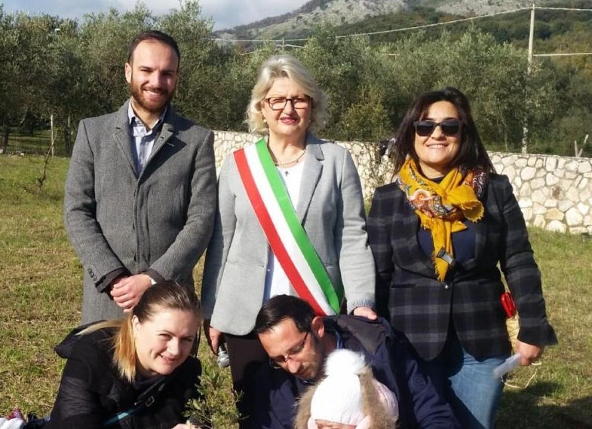 Progetto di riqualificazione per il parco pubblico nella zona il Boschetto, a Roccagorga. - 