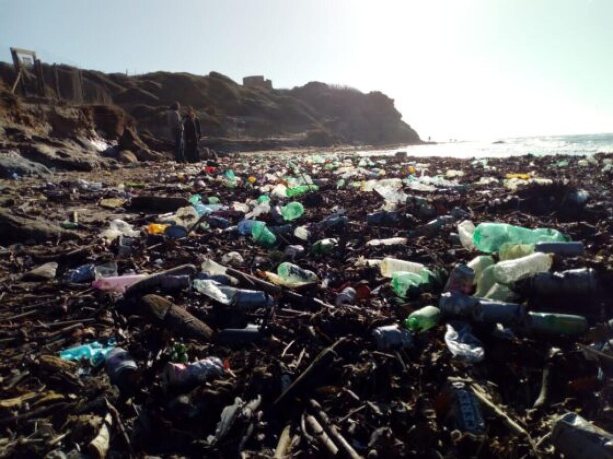 La spiaggia di Tor Caldara, ad Anzio, invasa dai rifiuti: questa domenica giornata di pulizia dell’arenile. - 