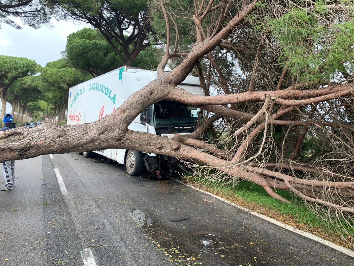 Le forti raffiche di vento mettono in ginocchio le province di Roma e Latina: strage di alberi e viabilità in tilt. - 