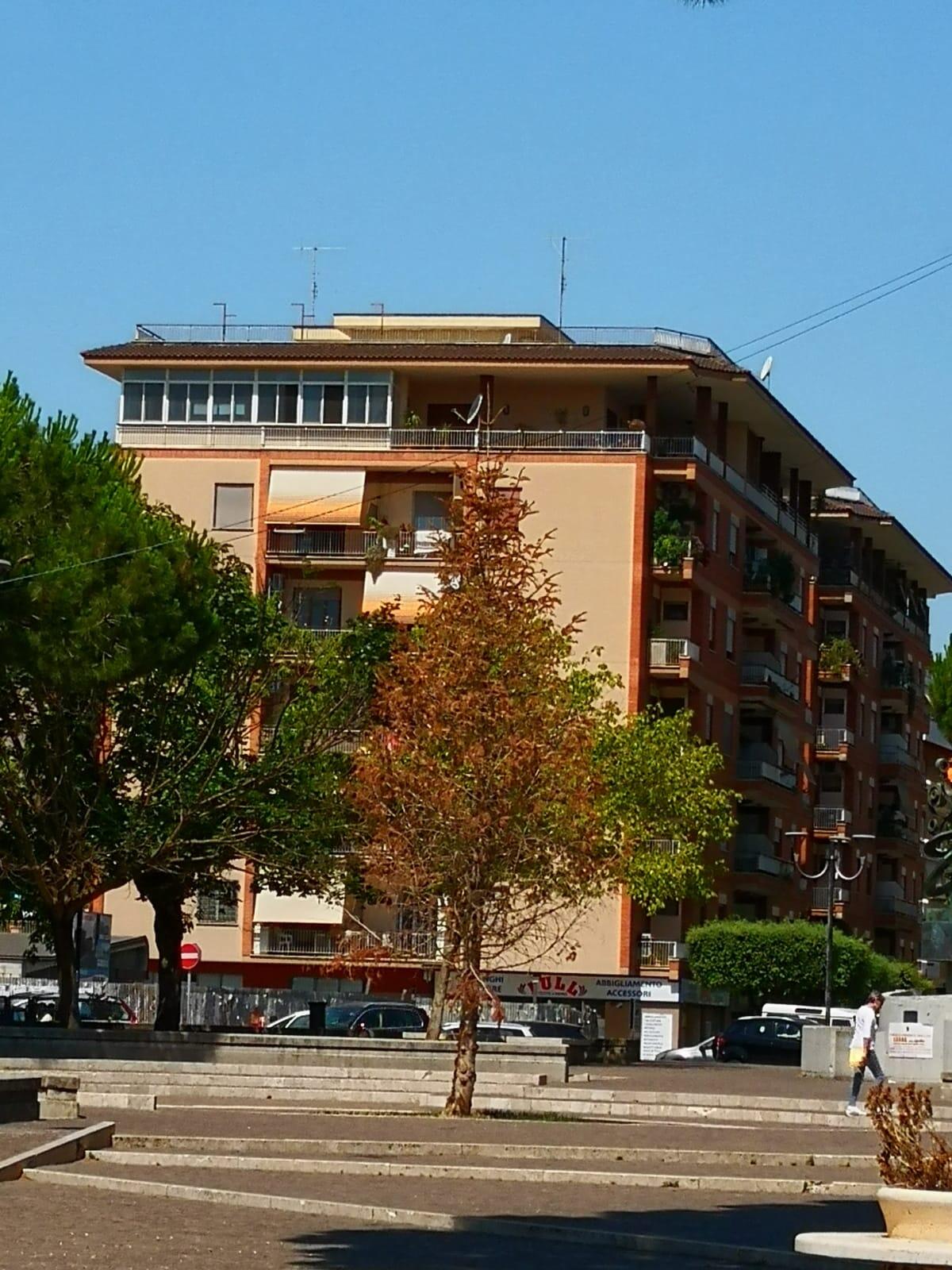 Potature in centro ad Aprilia, si prosegue - 