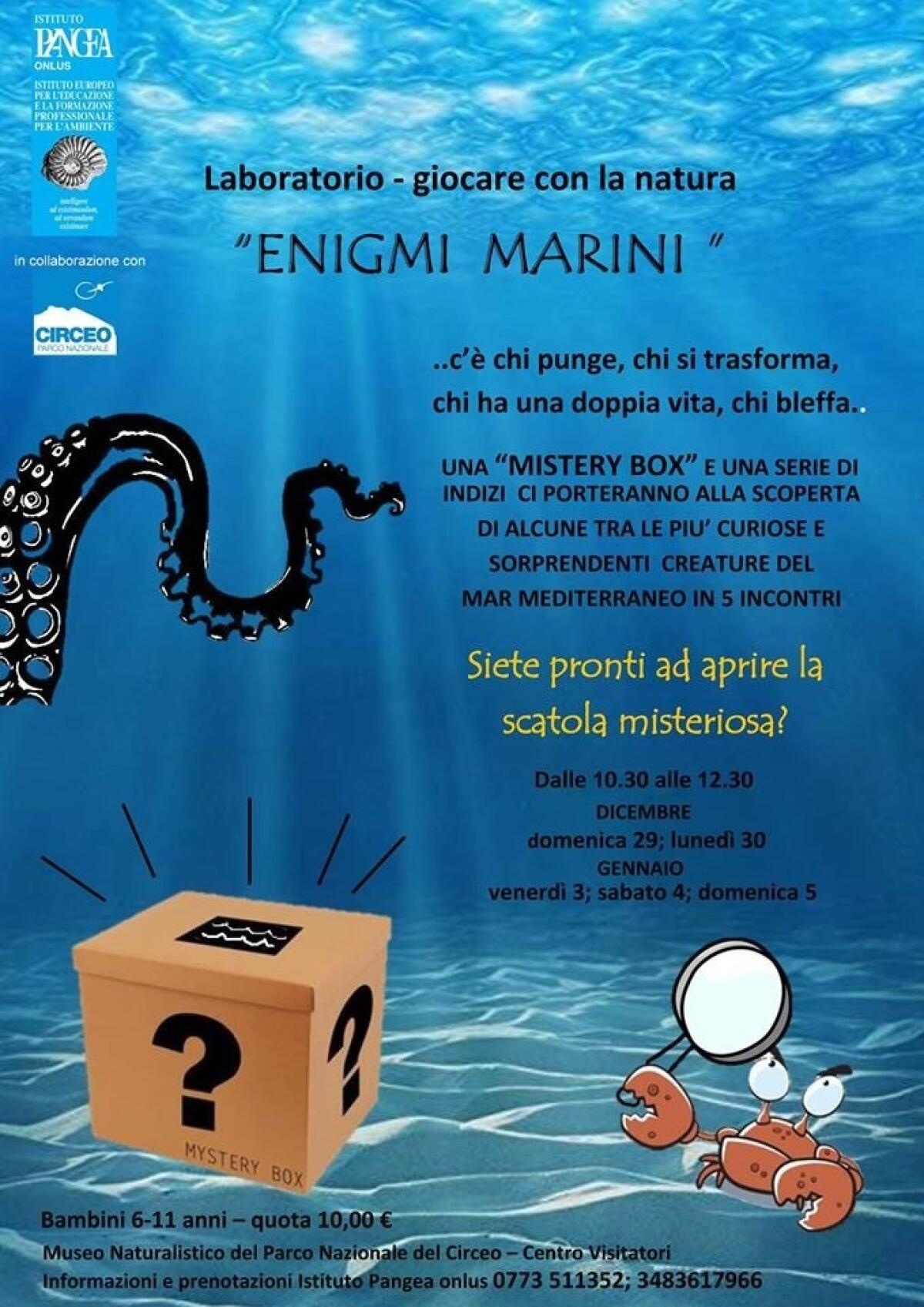 “Enigmi Marini”: al via l’iniziativa promossa dall'Ente Parco del Circeo e dall’Istituto Pangea Onlus. - 