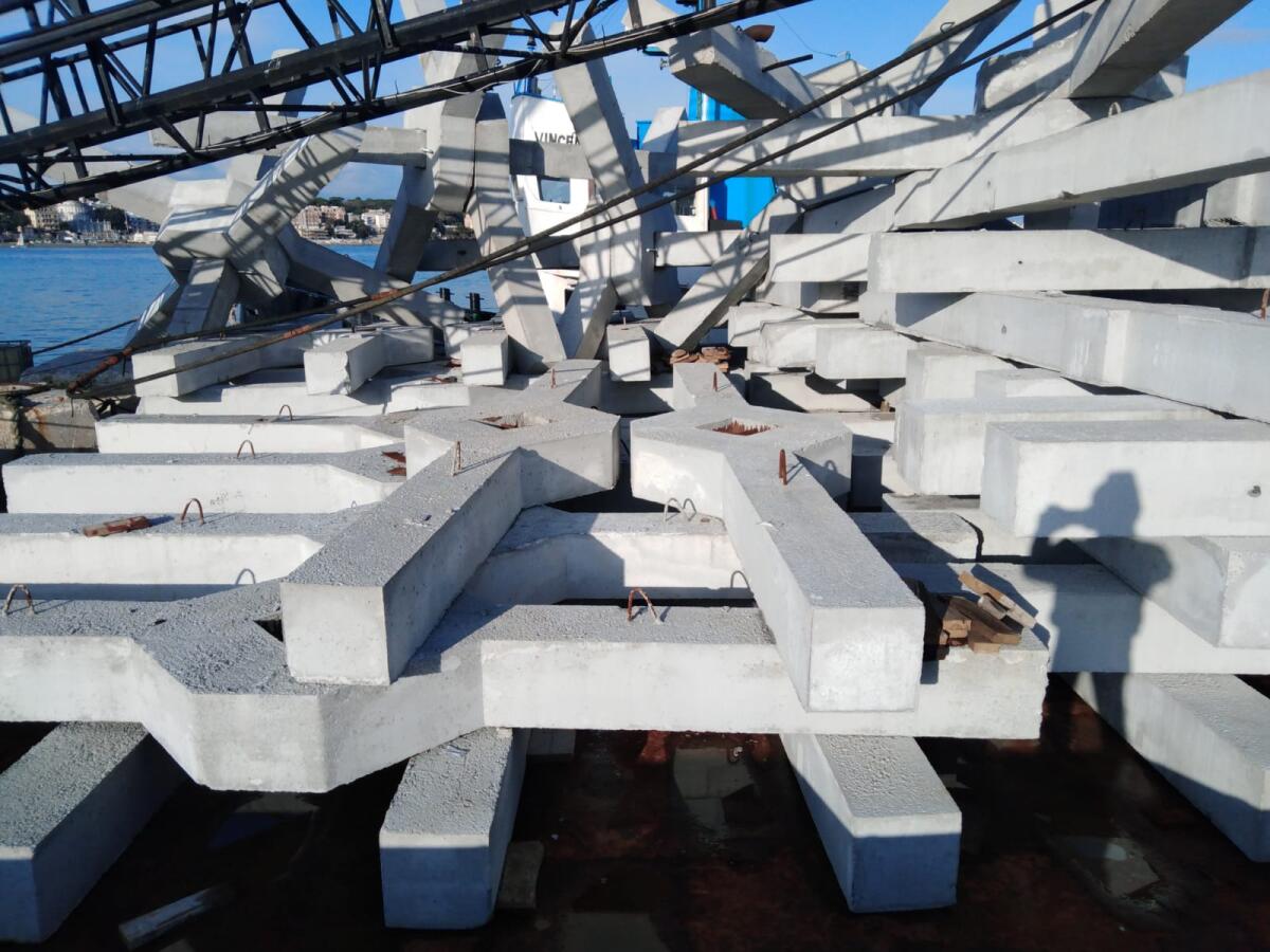 Barriere artificiali contro la pesca a strascico, al via a Torvaianica il ‘Progetto Pegaso’ - 