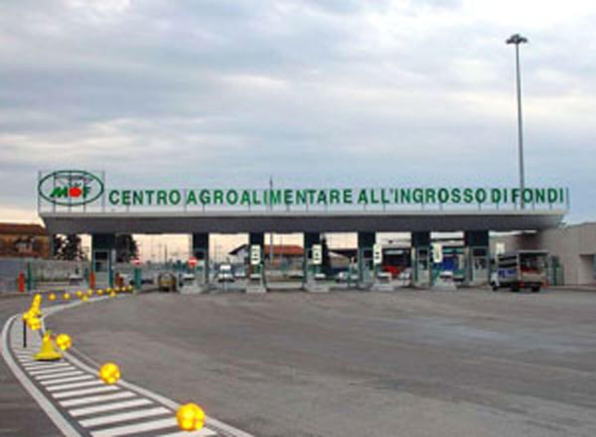 Controlli al Mof di Fondi, sequestrati 4 quintali di prodotti ortofrutticoli per mancata tracciabilità - 