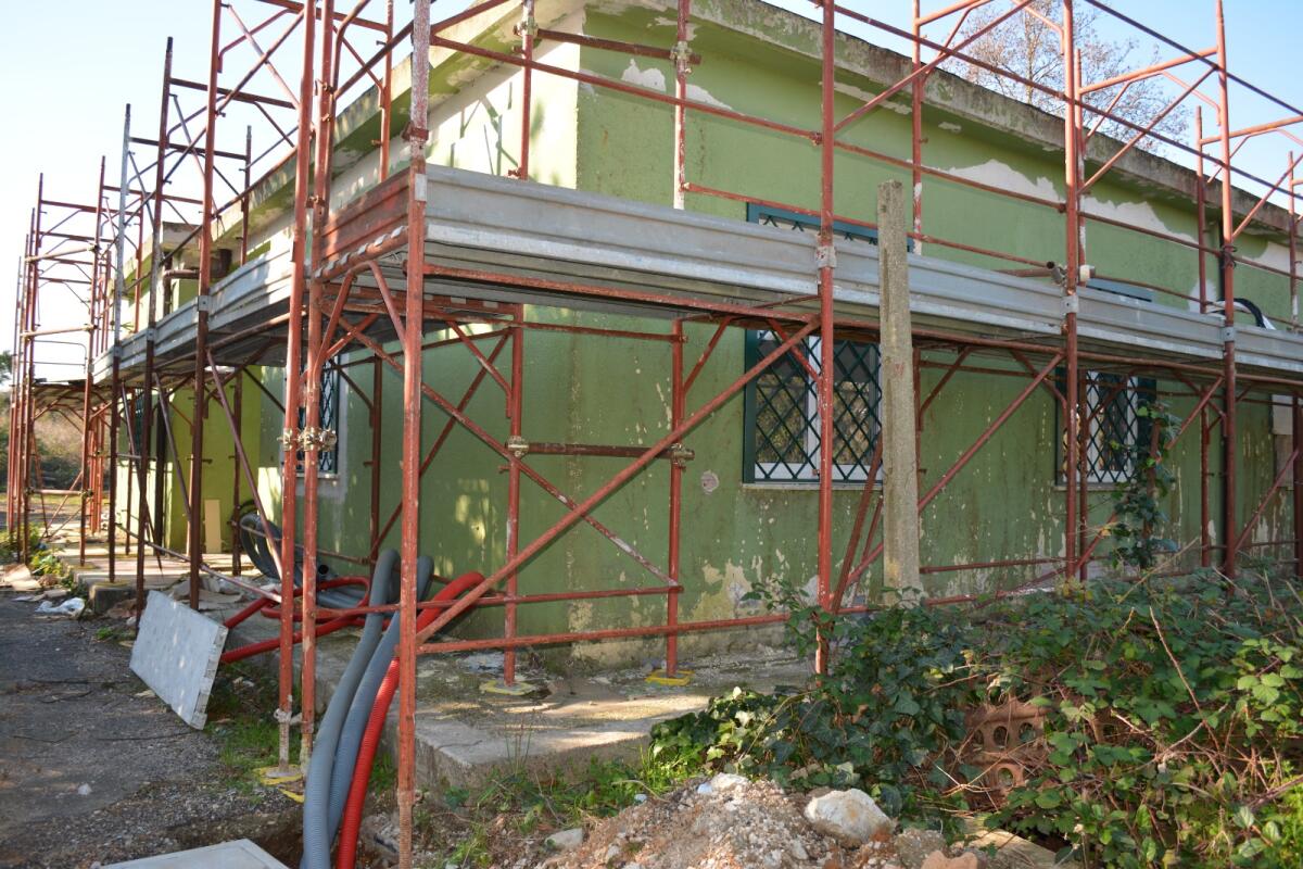 Nuovo parco canile e gattile comunale a Pomezia, partiti i lavori - 