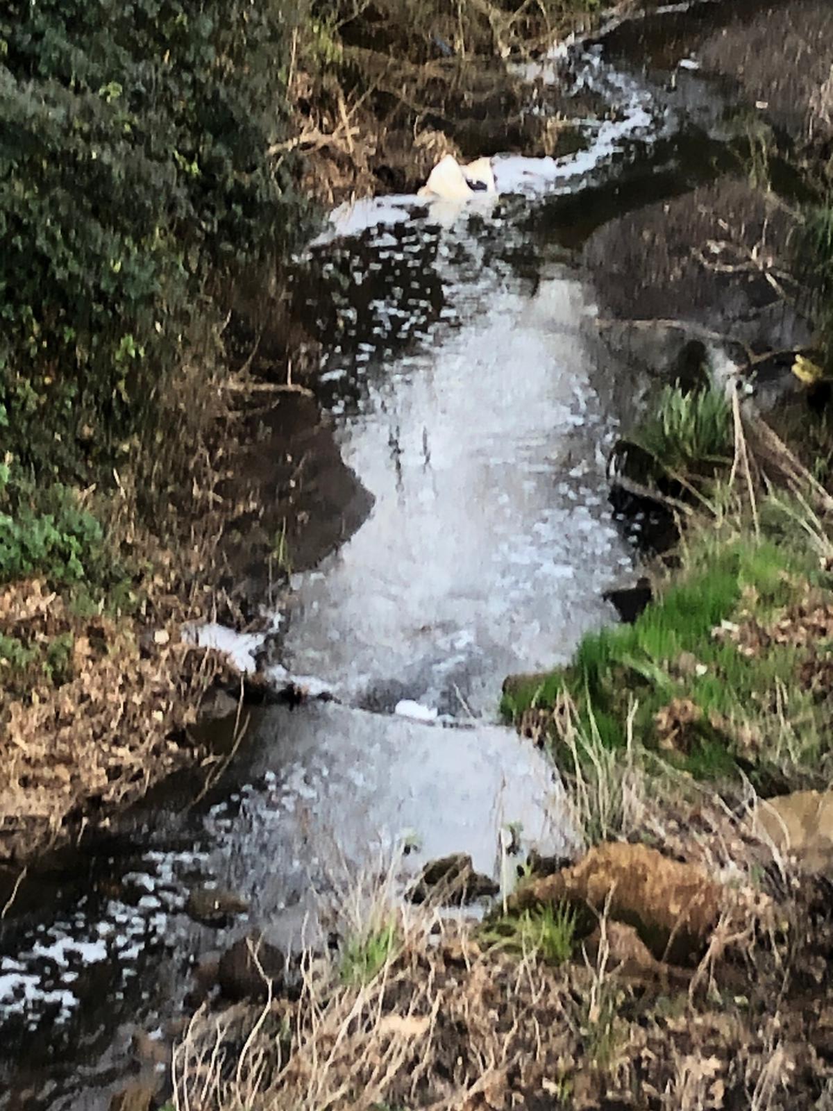Schiuma nel fosso a Casalazzara, intervengono vigili urbani e Arpa - 