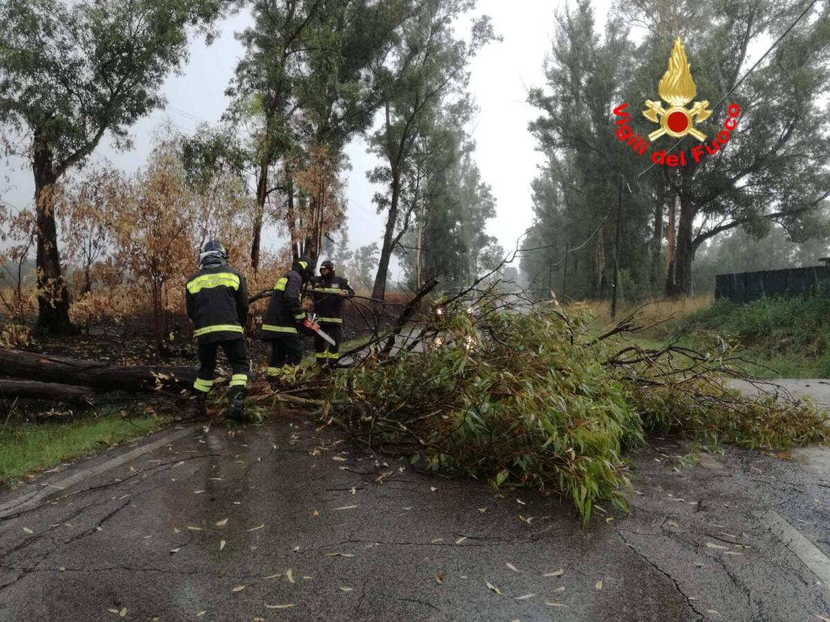 Forti raffiche di vento in tutto il Lazio: alberi caduti ai Castelli Romani, dove sono scesi anche i primi fiocchi di neve. - 