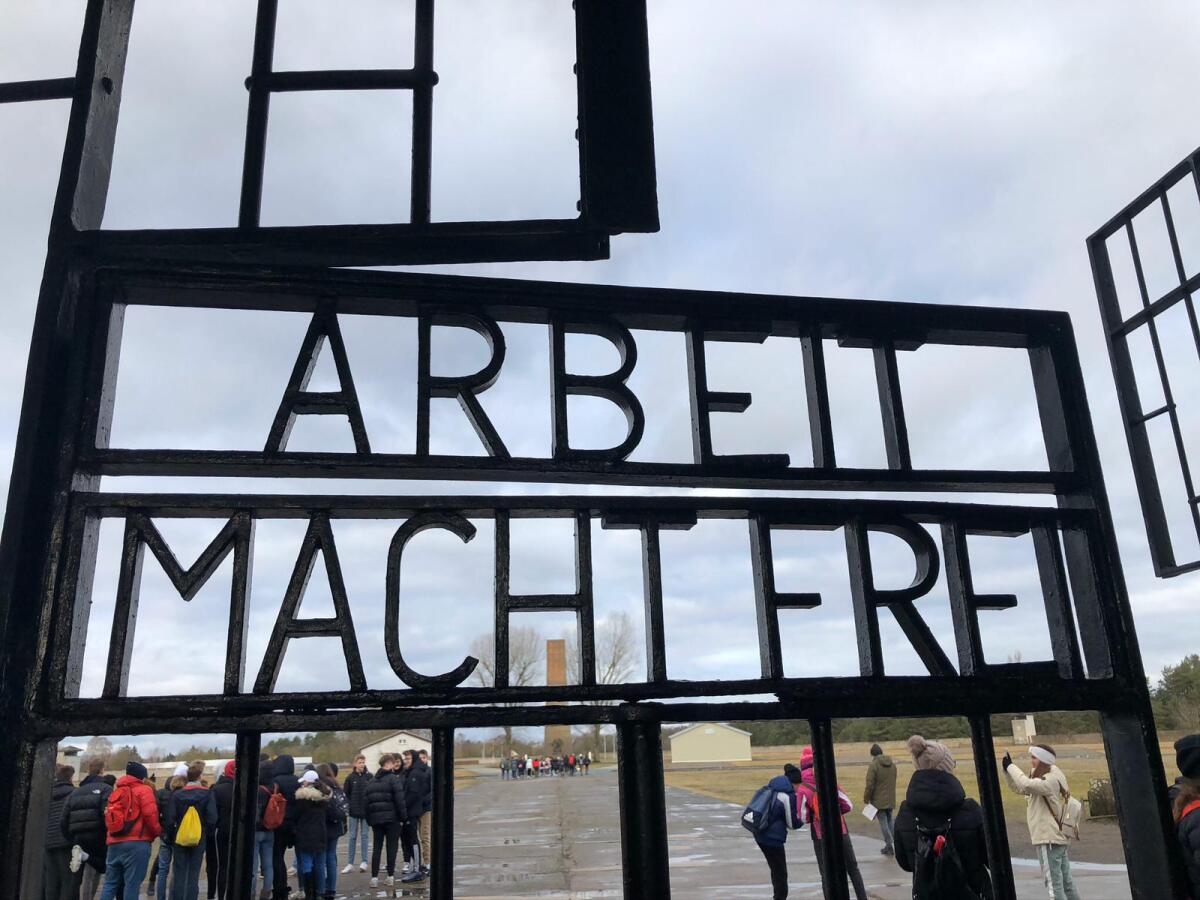 Albano, sospese le partenze del progetto “Il viaggio della Memoria” - 