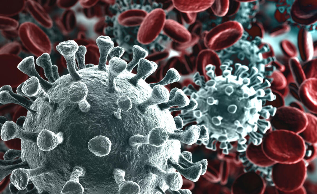 Coronavirus a Pomezia, alunni e docenti della 3C del Pascal in sorveglianza domiciliare. Sono senza sintomi - 