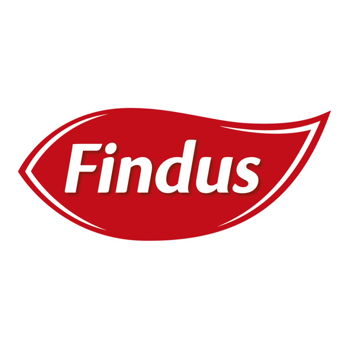 Coronavirus, la Findus dona un milione di euro allo Spallanzani per ricerca e nuovi dispositivi - 