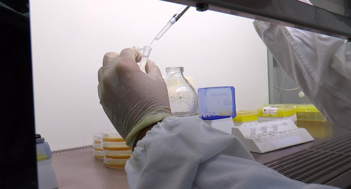 Covid19 - La Takis di Castel Romano dà il via ai test perclinici di 5 vaccini - 