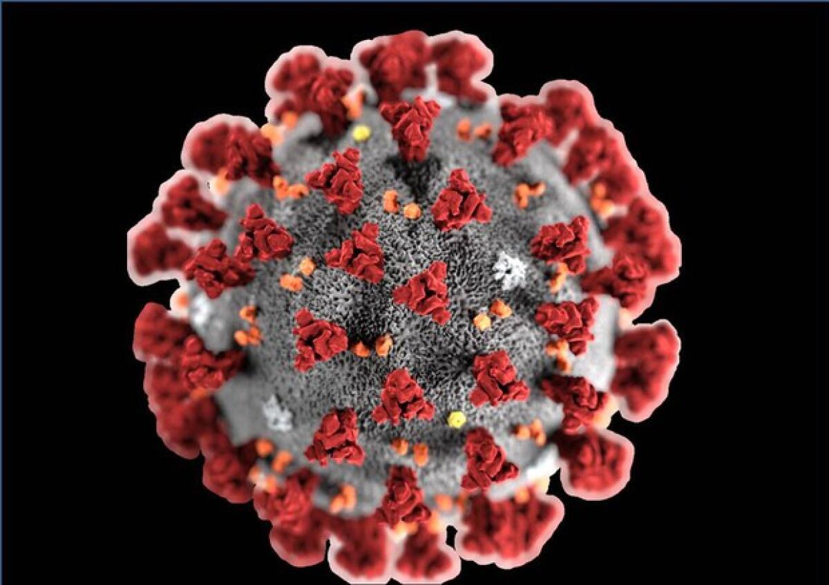 Coronavirus, sesta vittima a Nettuno - 