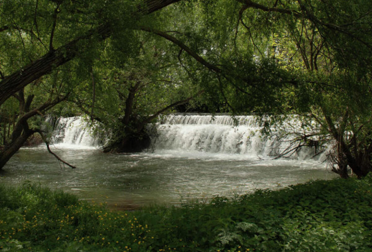 Comunità Montana Lepini-Ausoni. Online il sito dedicato al Contratto di Fiume Amaseno - 