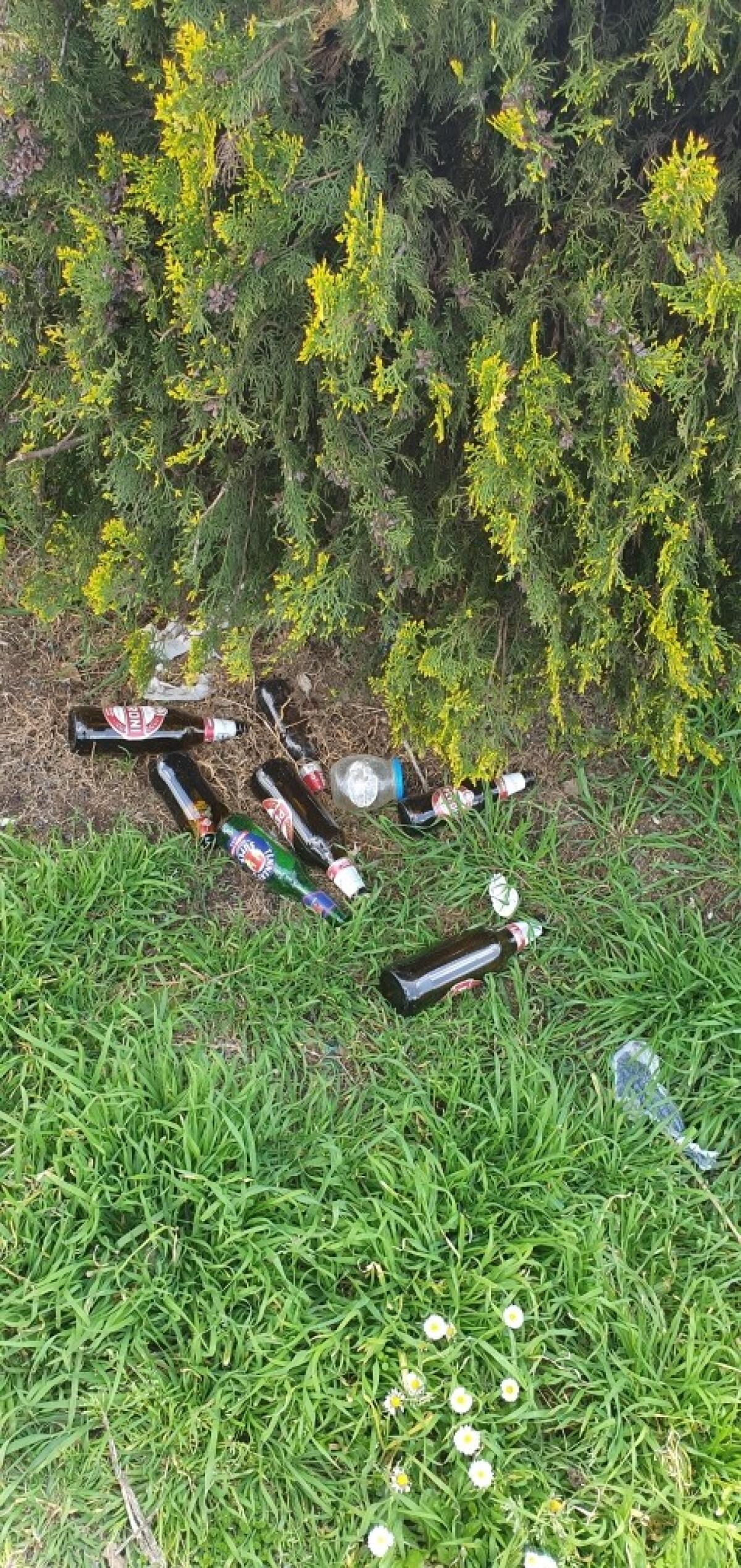 Aprilia - "No ai rifiuti gettati in strada con la scusa della quarantena" FOTO - 