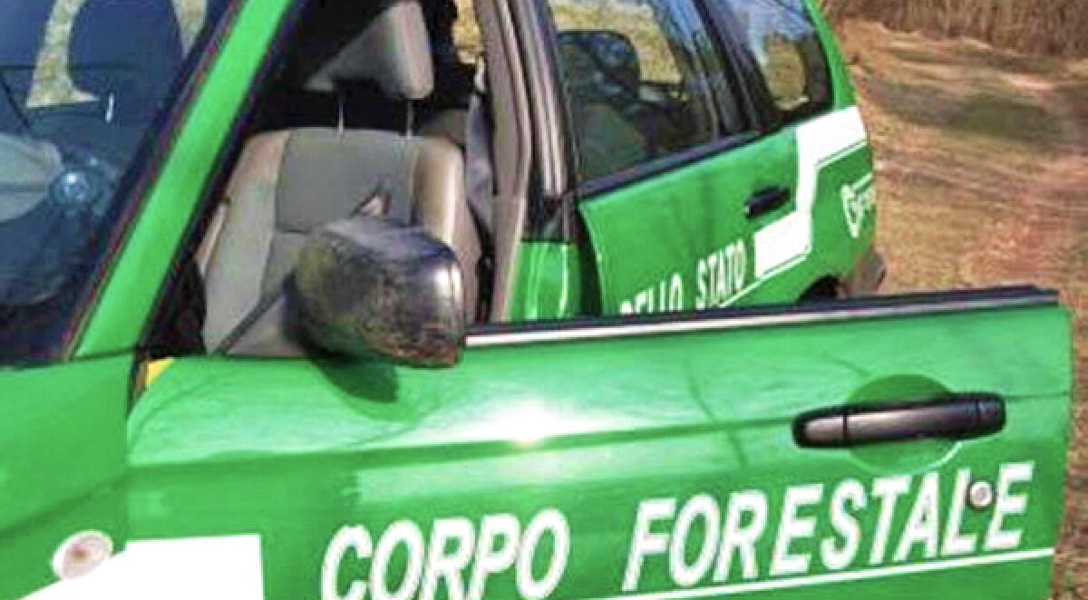 Un carabiniere forestale positivo al Covid-19 nel Comune di Spigno Saturnia, il presidio viene chiuso per la sanificazione. - 