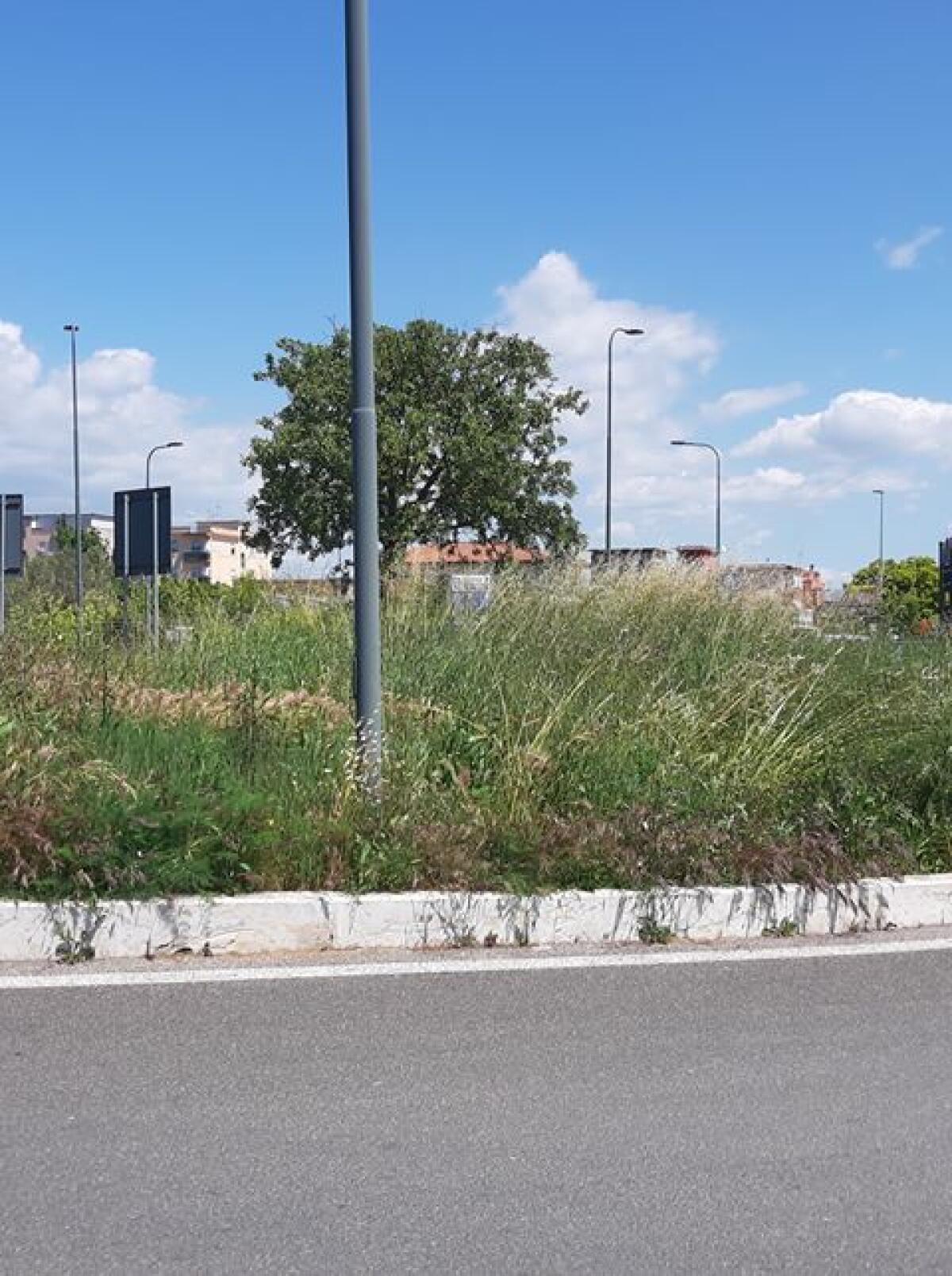 Aprilia, rotatoria del Quartiere Gattone nel degrado: "Scarsa visibilità e viabilità pericolosa" FOTO - 