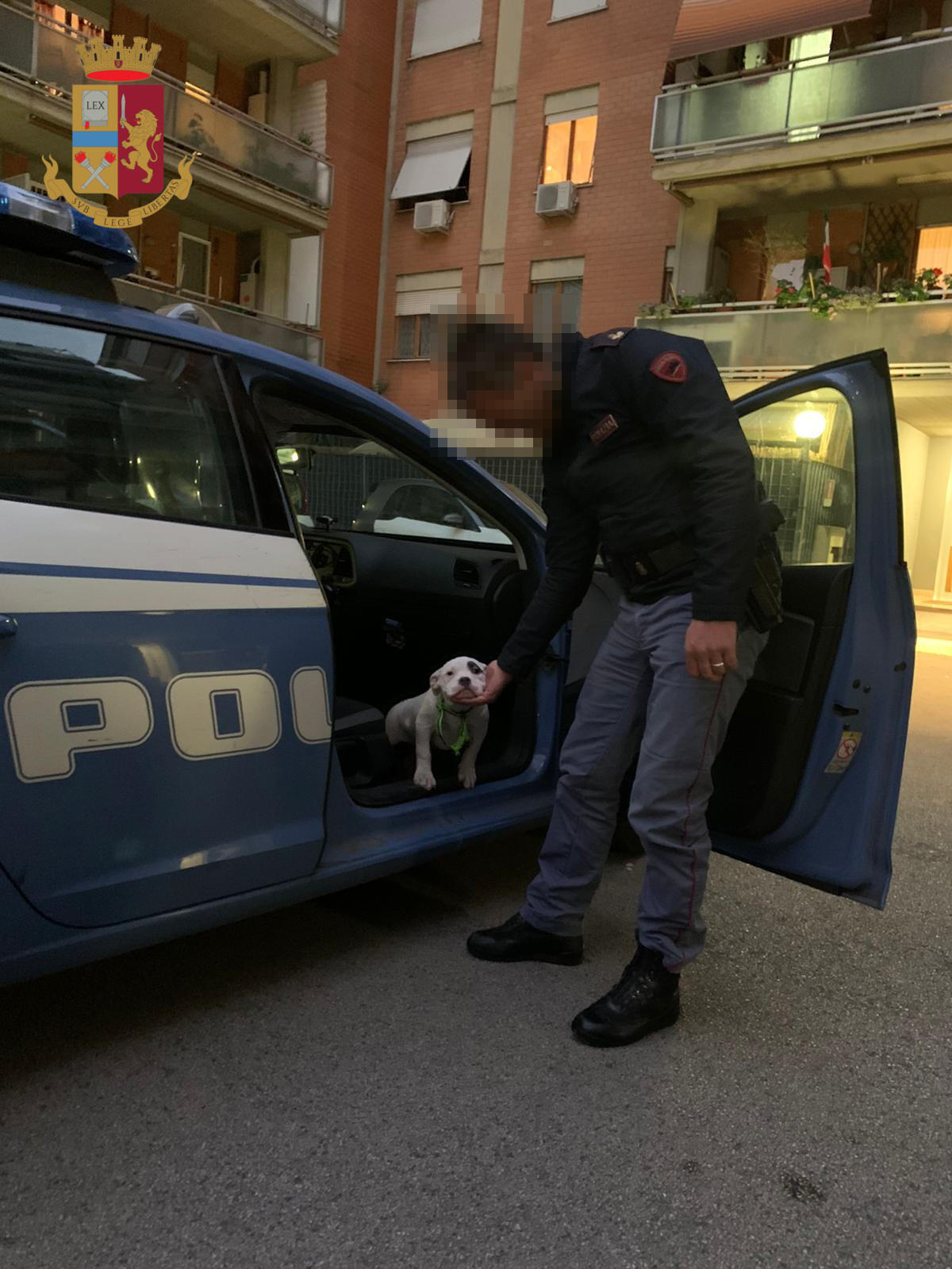 Muore il cane della nonna ed il nipote decide di regalargliene un altro. Glielo consegna la Polizia. - 