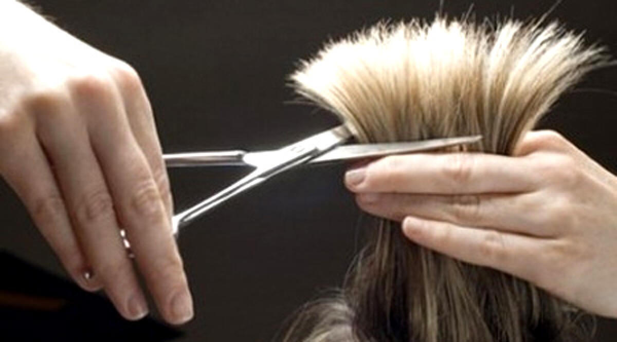 Velletri - Parrucchieri abusivi lavorano a casa, il sindaco: "Chiesti controlli alle forze dell'ordine" VIDEO - 